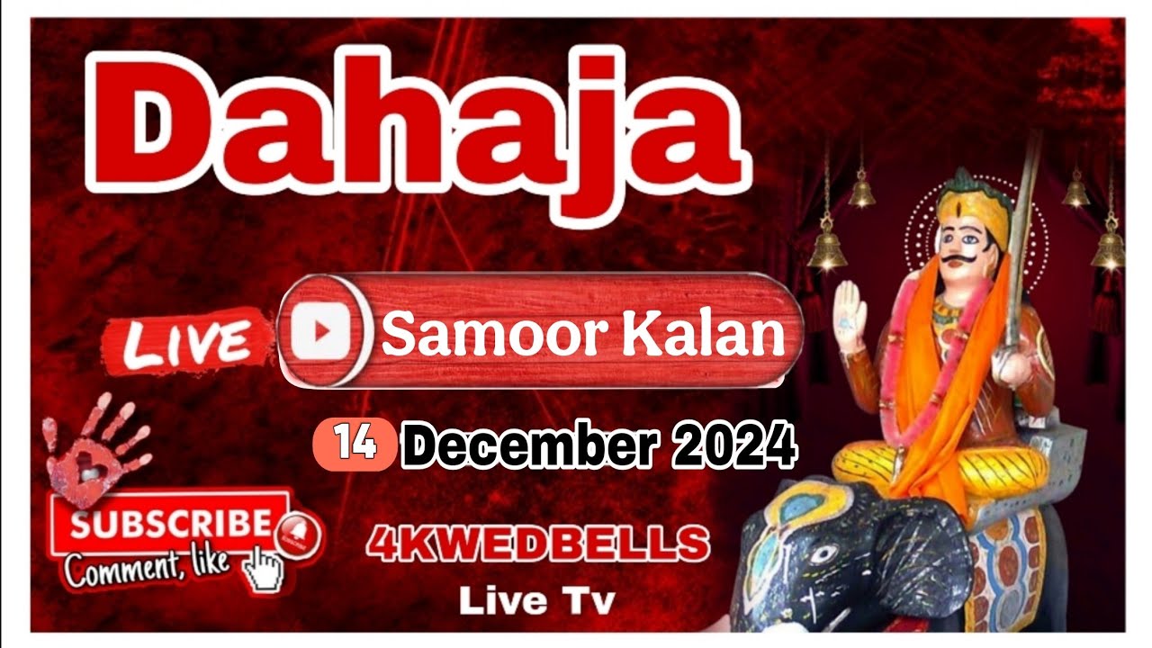🔴 Live Dahaja Baba Sidh Chano Vill Samoor Kalan (H.P) 13-Dec-2024 // Contact For Live -9878237312