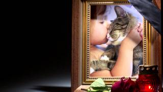 Serenity Pet Cremation Channel 6 Tulsa Promotional Commercial
