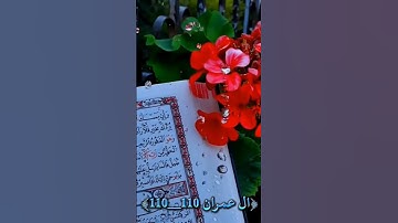 سوره ال عمران Al Imran الايه (110) #اكسبلور #المصحف #الرحمن #ادعموني_متابعه_ولايك_الاكسبلور