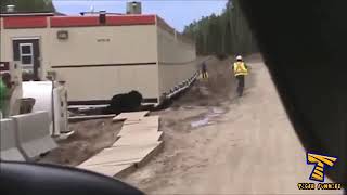 Video Qesharake 55 2018