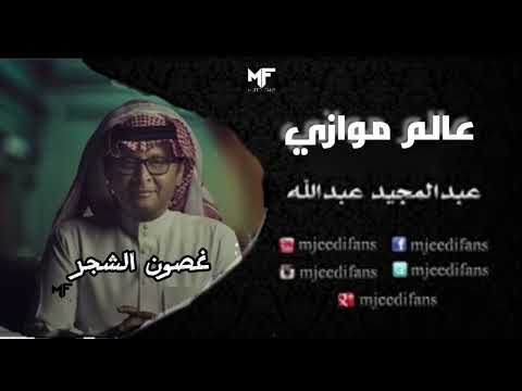 عبدالمجيد عبدالله غصون الشجر البوم عالم موازي
