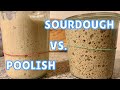 SOURDOUGH and POOLISH - What are the DIFFERENCES?