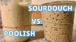 SOURDOUGH and POOLISH - What are the DIFFERENCES?