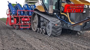 Ferrari Futura Autoplanter - Fully Automatic