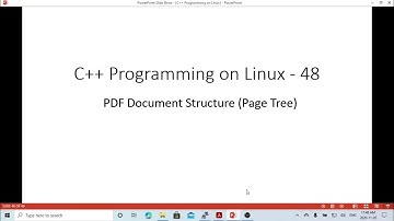 C++ Programming on Linux - PDF Page Tree Structure (counting and validate pages)