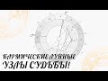 Кармические Лунные узлы судьбы! | Астролог Елена Негрей