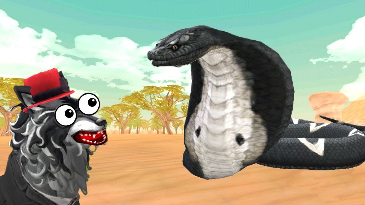 Snakes ATTACK - YouTube