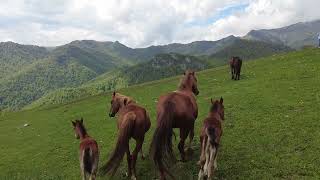 Լեռների լռությունը / The silence of the mountains