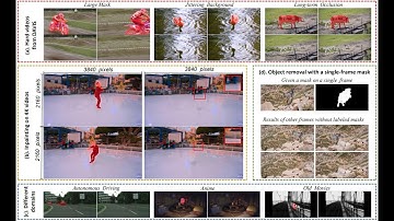 ICCV 2021 Internal Video Inpainting by Implicit Long-range Propagation