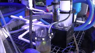 10 Hours of Aquarium Filter Sounds