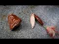 Making a Fishing Lure from a River Rock - Will It Catch Fish?