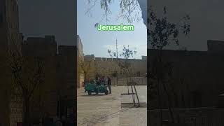 #shortvideo #israel #jaffa gate