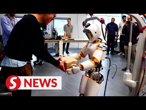 Meet the robot
