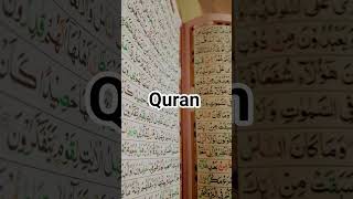 Quran best recitation ❤️🌷.......#shorts #shortvideo #quran #love #recitation
