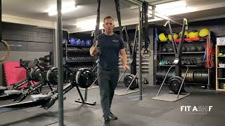 Strict Ring Dip Demonstration