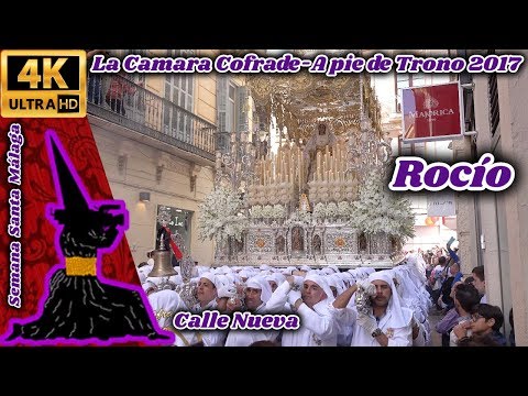 Real, Ilustre y Venerable Hermandad Sacramental de Nuestro Padre Jesús Nazareno de los Pasos en el Monte Calvario y María Santísima del Rocío Coronada