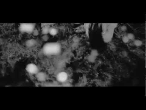 Evanescence Understanding Music Video