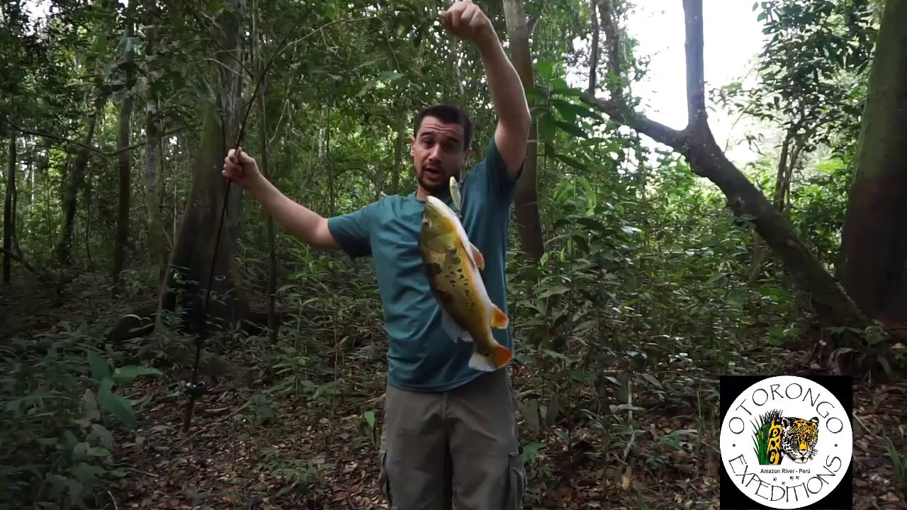 Catching Peacock bass the hard way!