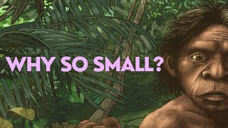 Why Were Homo Floresiensis So Small?