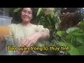 Nước uống đẹp da từ hạt lanh