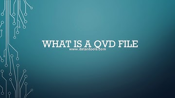 55 What is a QVD file