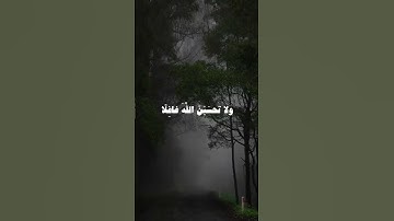 سورة إبراهيم من الآية ٤٠ إلى الآية ٤٢ بصوت الشيخ عبد البديع غيلان