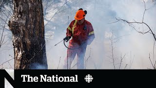 Ontario moves to improve health coverage for wildland firefighters