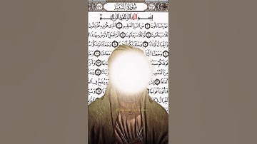 عم يتسائلون عن النبأ العظيم..قيل انه ﮼الامام ﮼علي ؏ 🤍/القرآن الكريم