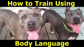 2 Simple Dog Training Body Language Techniques