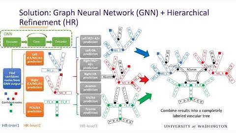 Automated Intracranial Artery Labeling using a Graph Neural Network and Hierarchical Refinement