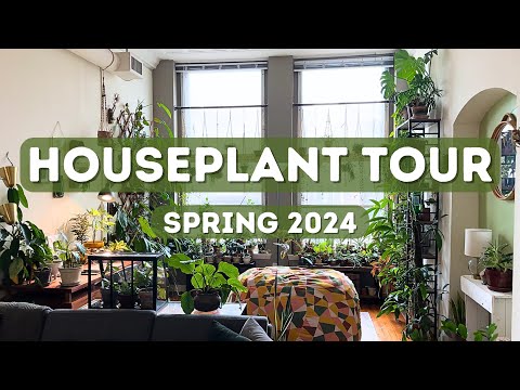Houseplant Tour |