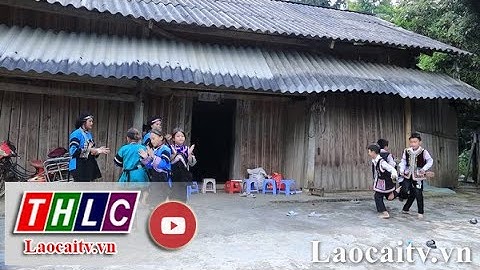 Đời sống văn hóa người Bố Y | THLC