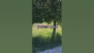 Motivation follows movement  start with 30 seconds