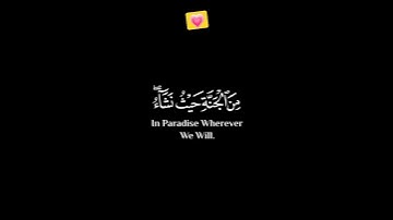 وقالوا الحمدلله الذي صدقنا وعده شاشة سوداء القارئ شريف مصطفى ♡