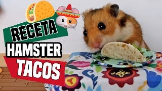 HAMSTER COMIENDO TACOS - COCINA PARA HAMSTER 