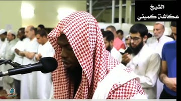 سورة الفجر - الشيخ 🎙عكاشة كميني #رواية_الدوري_عن_الكسائي