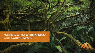 Seeing What Others Miss with David Thompson