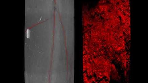 Mancos Shale failed in triaxial cell: PL 6 PostTest
