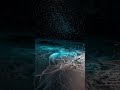 Sea of Stars: Bioluminescent Waves at Night 🌊✨ | Saagar Kinare | Classic Romantic Song