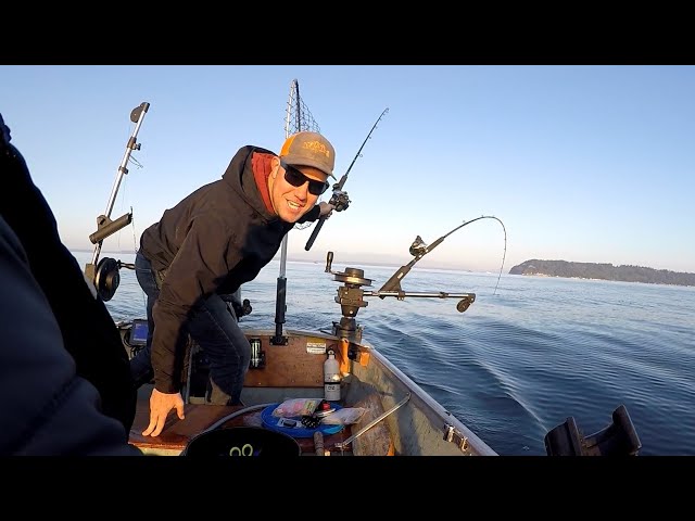 Downriggers vs. lead- trolling for pink salmon 