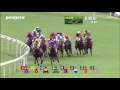 Craziest horse racing DEBUT ever - #6 Pakistan Stars from Last to First!! Hong Kong (2016)