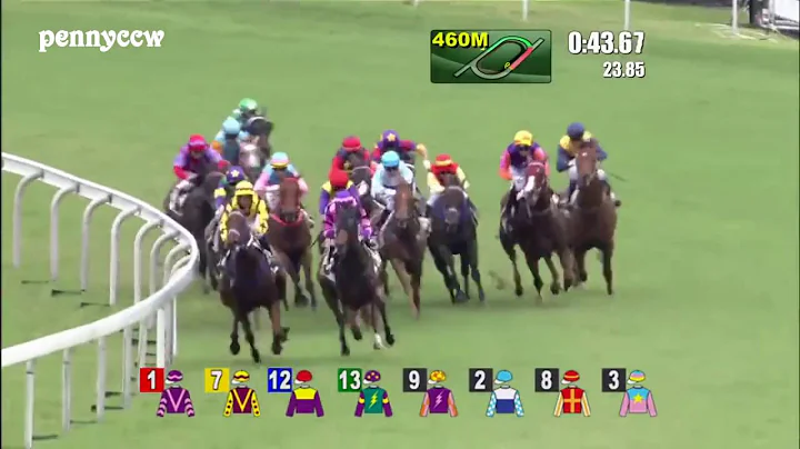 Craziest horse racing DEBUT ever - #6 Pakistan Stars from Last to First!! Hong Kong (2016) - DayDayNews