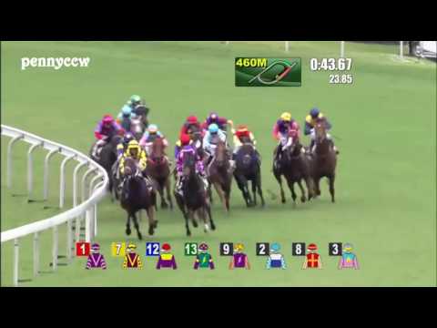 craziest-horse-racing-debut-ever---#6-pakistan-stars-from-last-to-first!!-hong-kong-(2016)