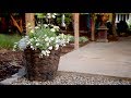 Planting a Container in Shades of White! 💚🌿// Garden Answer