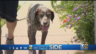2 On Your Side: Trash Truck Trouble