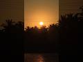 Sunset View #sunset #sunsetview #sunsets #sunsetshorts #viral #shortsfeed