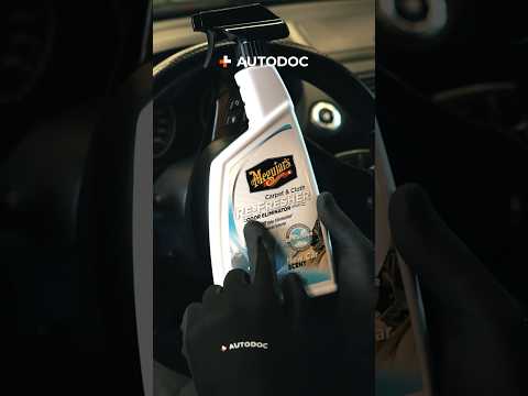 Cómo eliminar un olor desagradable en el interior de tu coche | AUTODOC #shorts @autodoces