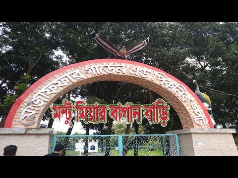 ভিডিও: মন্টেরের বাগান