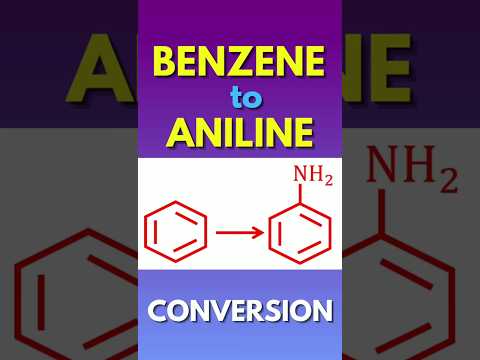 Video: Basic ba ang Phenylamine?
