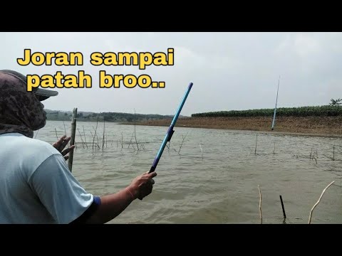 Mancing Nila Monster Di Danau Toba Youtube